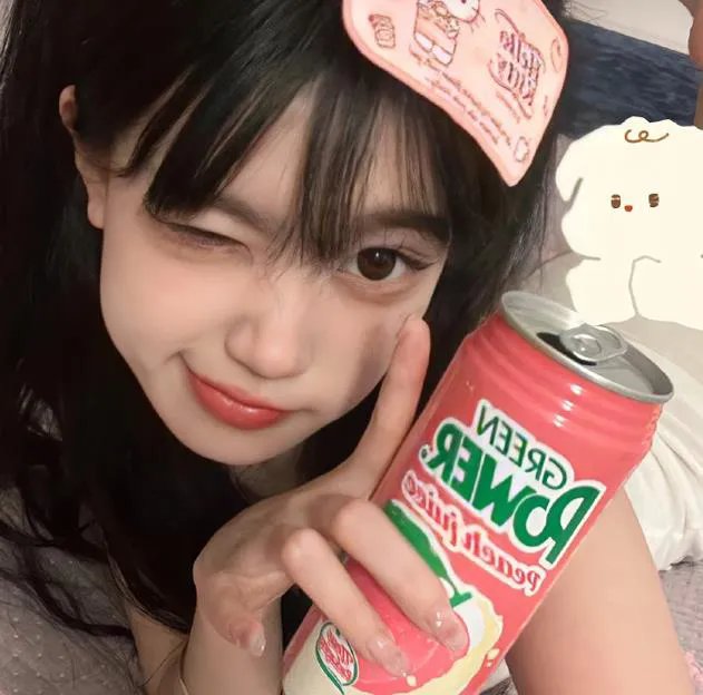 新十二生肖